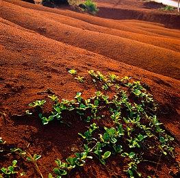 《猎天使魔女3》北美完成分级 暗示发售日公布不远了